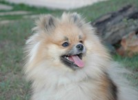 /album/galeria%20de%20fotos%3a%20nossos%20campe%c3%b5es/nadine-jpg1/