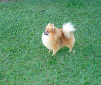 /album/galeria%20de%20fotos%3a%20nossos%20campe%c3%b5es/cimg3209a-jpg1/